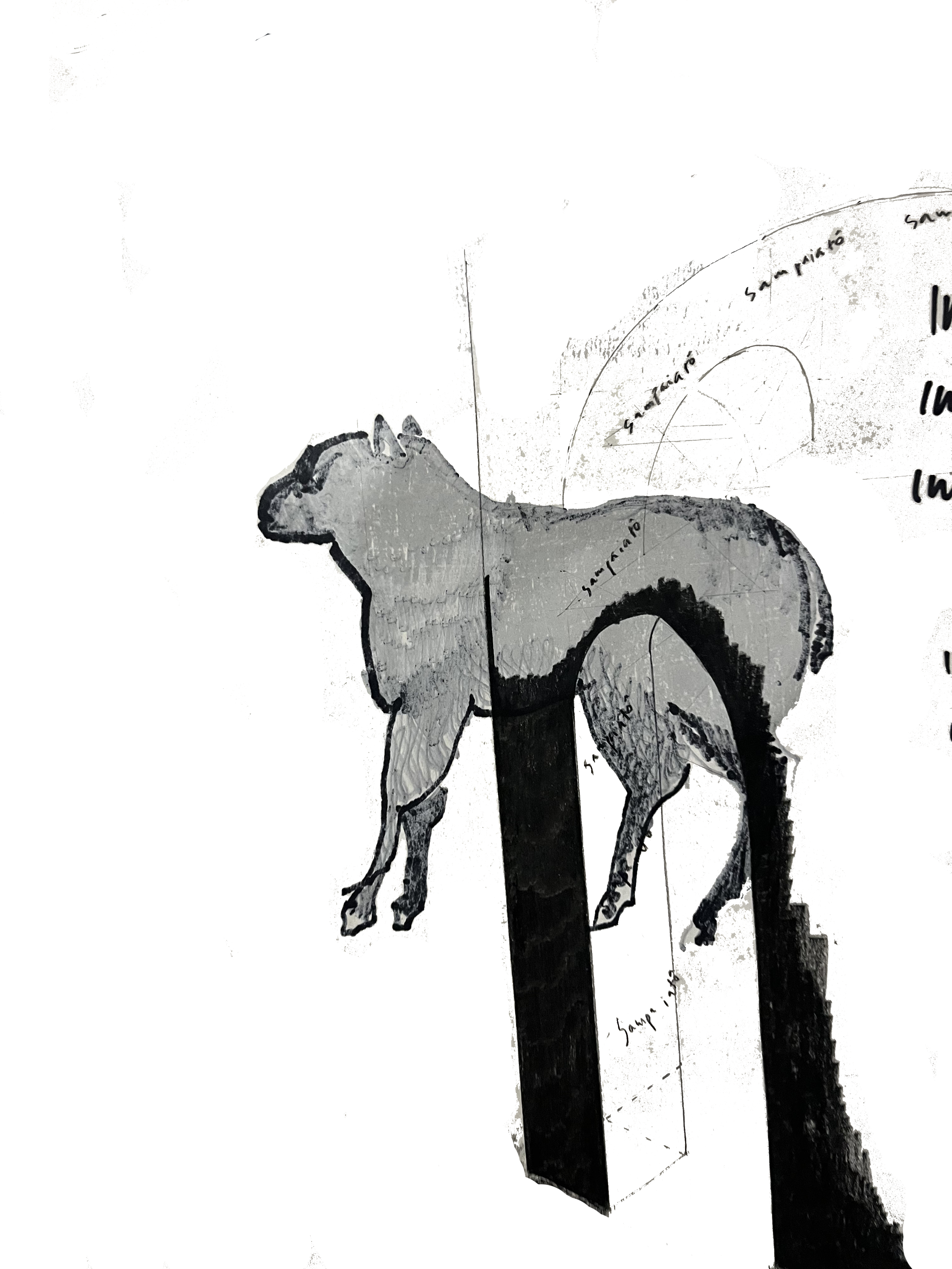 Ricardo Cartaxo Benrós Monteiro